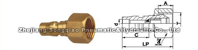 1686966361204522.jpg 121009112325054908wguhj5va4e1r.JPG